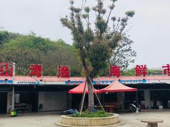 -汤山公园