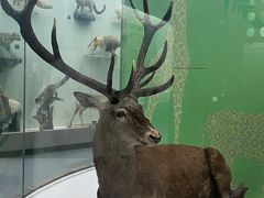 -国家自然博物馆