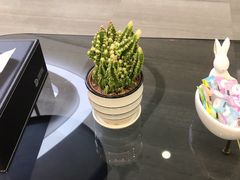 -牙博士口腔品牌连锁(杨浦店)