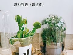隐藏手冲-卖呆儿咖啡(望京店)
