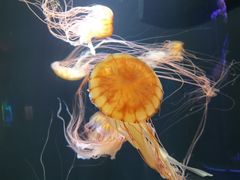 -成都浩海立方海洋公园