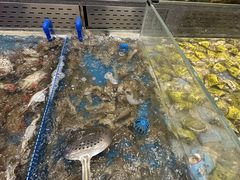 -半岛听涛蒸汽海鲜自助(K11店)