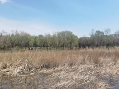 -绿堤公园