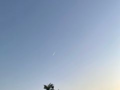 -光明小镇欢乐田园