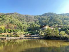 -桃花岭景区