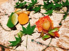 -炎橘·板前料理 Omakase