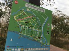 -合肥滨湖国家森林公园