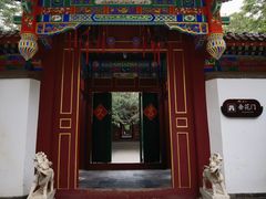 -荣国府