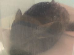-雨林宠物医院 非犬猫异宠专科
