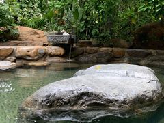 -厦门日月谷温泉渡假村