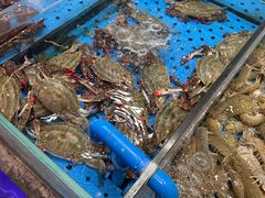 -大连湾旭日·家宴·海肠捞饭(马栏广场店)