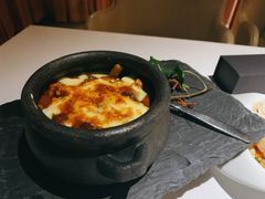 -梧桐