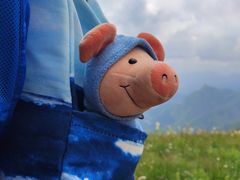 -白草畔自然风景区