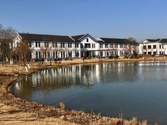 -上海长兴岛郊野公园