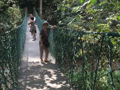 -西双版纳原始森林公园