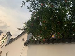 -三千院·东篱(东门店)