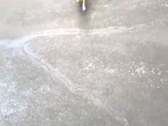 -宠物之家Pets Home 宠物寄养酒店