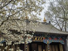 -护国法轮寺