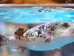 -永安鱼庄·镇江菜(东吴路店)