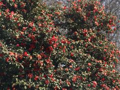 -玄武湖景区-情侣园游乐场