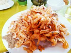 -朝霞饭店(崂山景区旅游专用路)