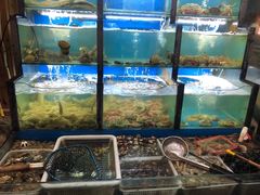 水产区-老东镇啤酒屋海鲜加工·蒸汽海鲜·海鲜烧烤(台东店)