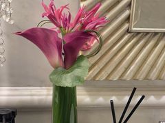 -上海和平饭店-华懋阁 The Cathay Room