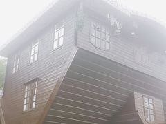 -金山农民画村-枫泾波兰倒置屋