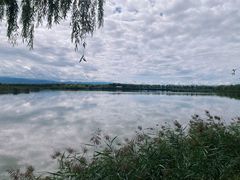 -野鸭湖国家湿地公园