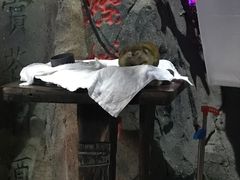 -泉城欧乐堡海洋极地世界