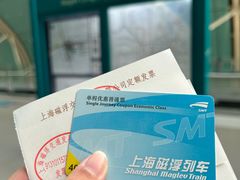 -龙阳路磁悬浮列车总站-停车场