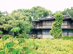 -韩湘水博园