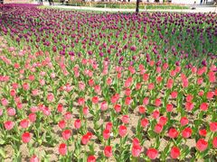 -长春公园(普阳街道)