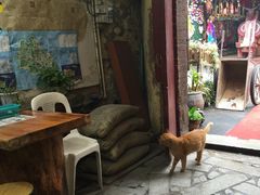 -老宅原住民沙茶面精品小吃(龙头路店)