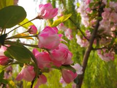 -元大都城垣遗址公园