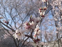 -北京明城墙遗址公园
