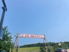 -第35届青岛国际啤酒节