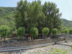 -百花人家(清水田园店)