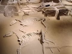 -洛阳周王城天子驾六博物馆