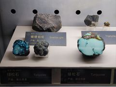 -中国地质博物馆