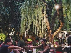 -Fern Forest Cafe
