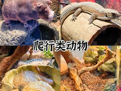 -正佳极地海洋世界