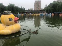 -团结湖公园
