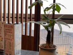 -新草堂锅物料理(泉城路店)