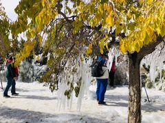 -天山神秘大峡谷