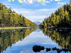 -新疆国际大巴扎