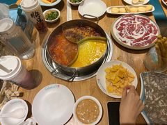 -青瓷火锅料理(西单大悦城店)