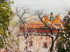 -颐和园