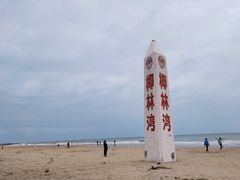 -东郊椰林
