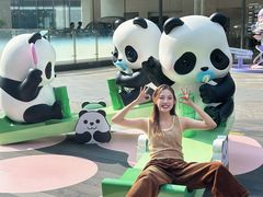 -东莞松山湖万象汇